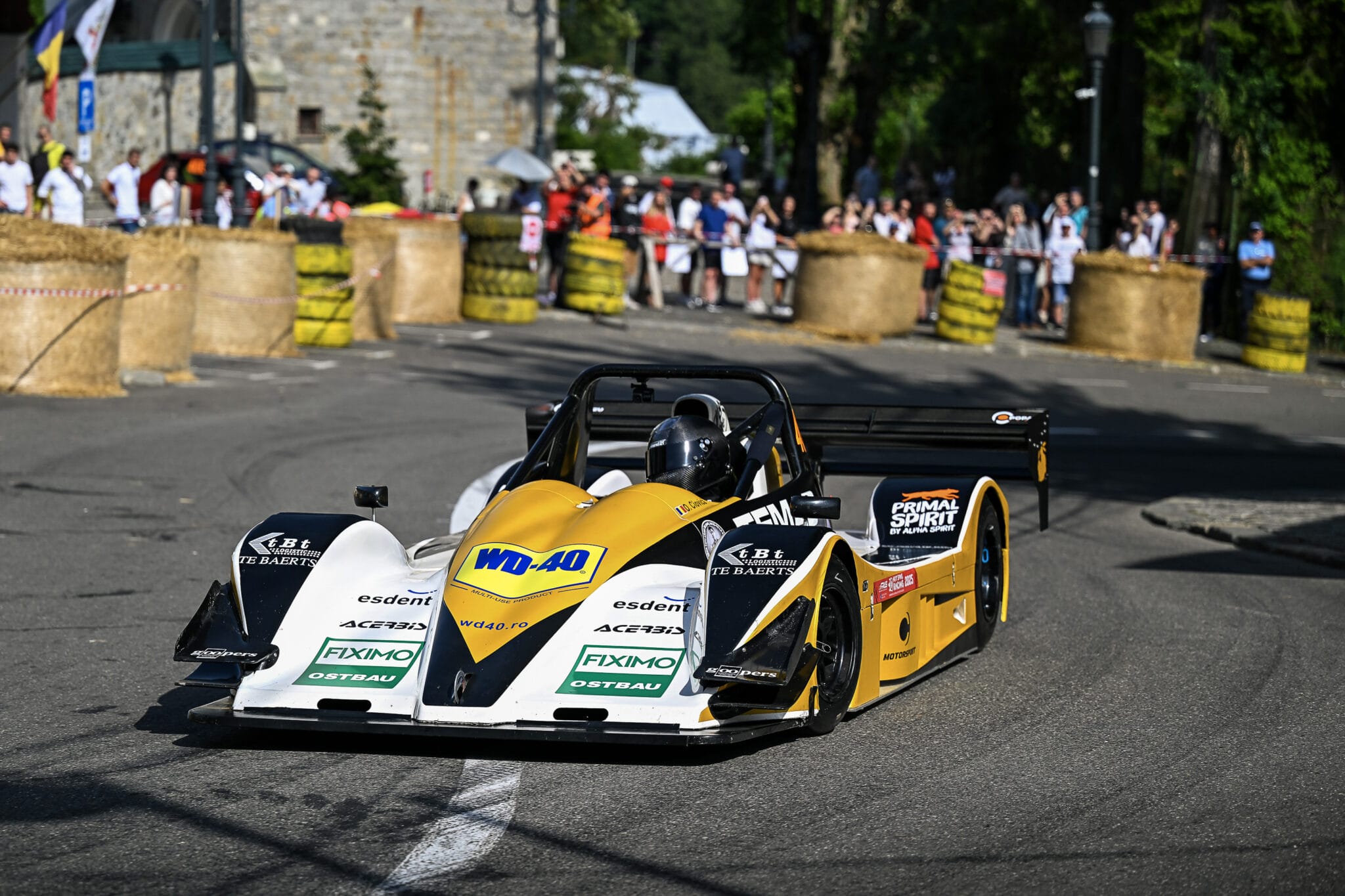 39 copyright flaviuscroitoriu sinaia2025 206