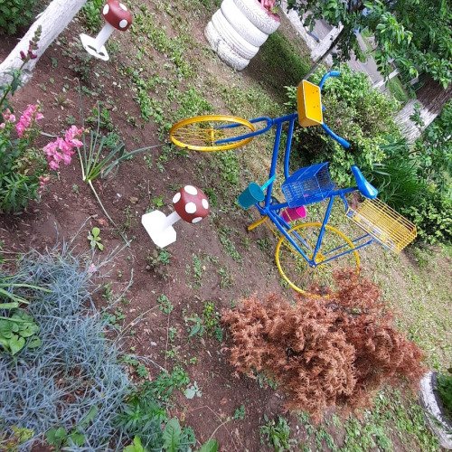 Bicicleta bunicului