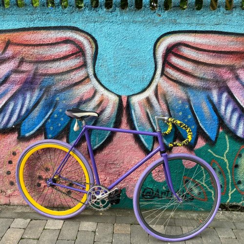 De la Cursieră Clasică la Fixie Vibrant