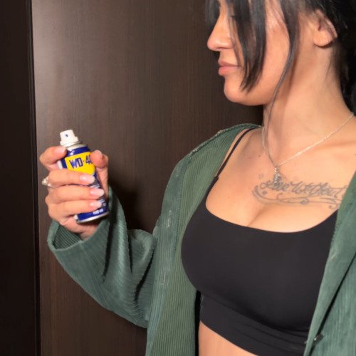 Scârțâit+WD-40=Liniște