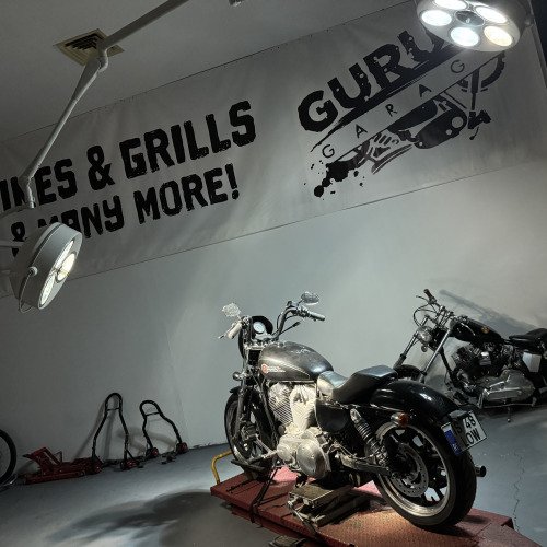 Sportster Superlow